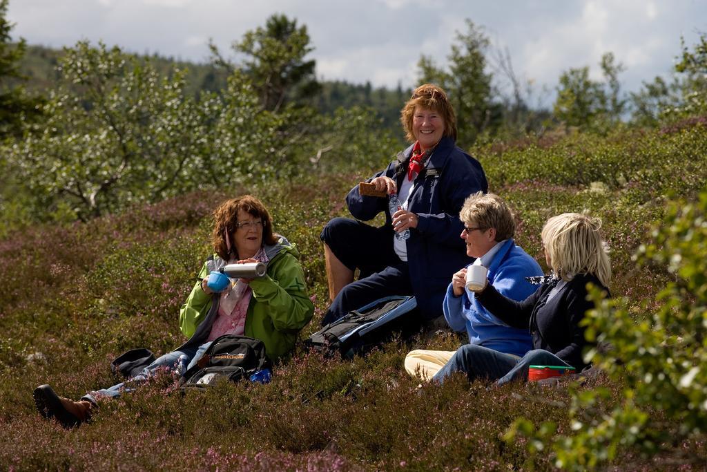 Gammelgården Hotel Hogfjallet Eksteriør billede